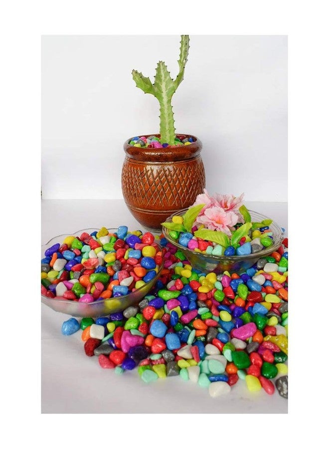 Somil Multicolor Pebbles/Stones for Garden, Plants, Lawns, Aquariums, Fish Pots, Home Decor, Vases, Furniture Filler. Size: 10-30mm, Shiny Multicolor -A587 - Image 5